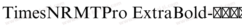 TimesNRMTPro ExtraBold字体转换